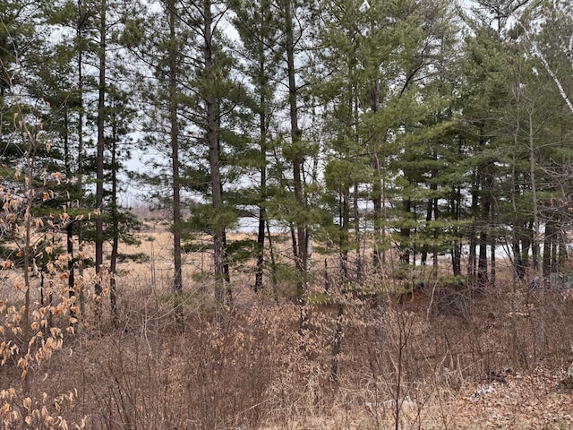 TBD Miller Bay Lane, Hackensack, MN 56452 - photo 15