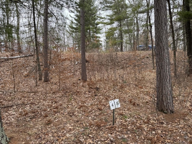 TBD Miller Bay Lane, Hackensack, MN 56452 - photo 18