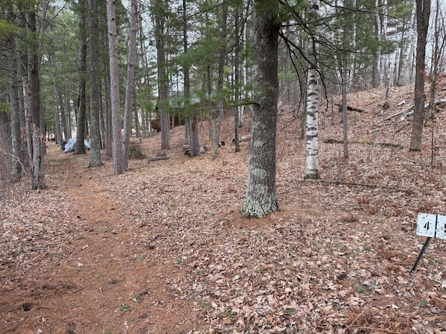 TBD Miller Bay Lane, Hackensack, MN 56452 - photo 20