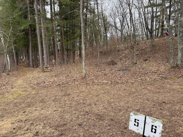 TBD Miller Bay Lane, Hackensack, MN 56452 - photo 21