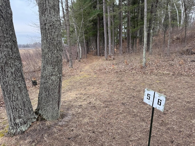 TBD Miller Bay Lane, Hackensack, MN 56452 - photo 22