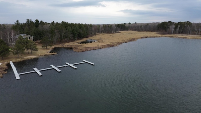 TBD Miller Bay Lane, Hackensack, MN 56452 - photo 9