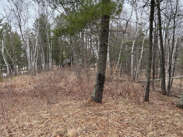 TBD Miller Bay Lane, Hackensack, MN 56452 - photo 11