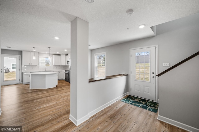 2173 Heron Ct, Lino Lakes, MN 55038 - entryway featuring baseboards, a healthy amount of sunlight, and light wood-style flooring