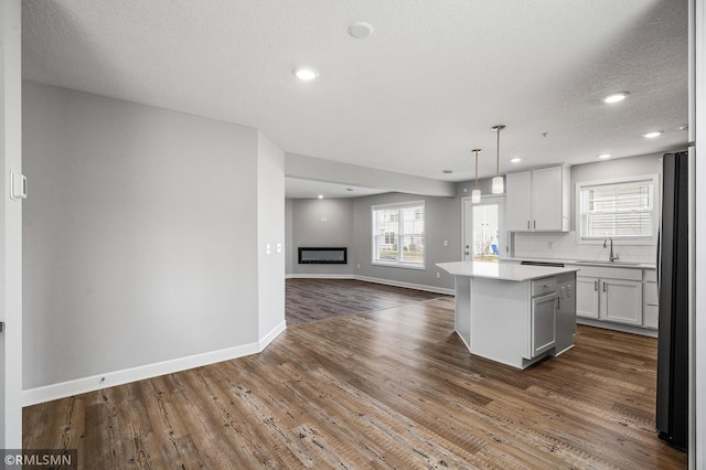 2173 Heron Ct, Lino Lakes, MN 55038 - kitchen with dark wood-style floors, a sink, open floor plan, freestanding refrigerator, and light countertops