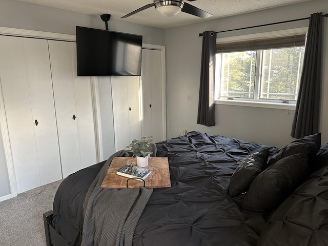 9808 Jenny Ln, Saint Wendel Twp, MN 56374 - bedroom with carpet and a ceiling fan