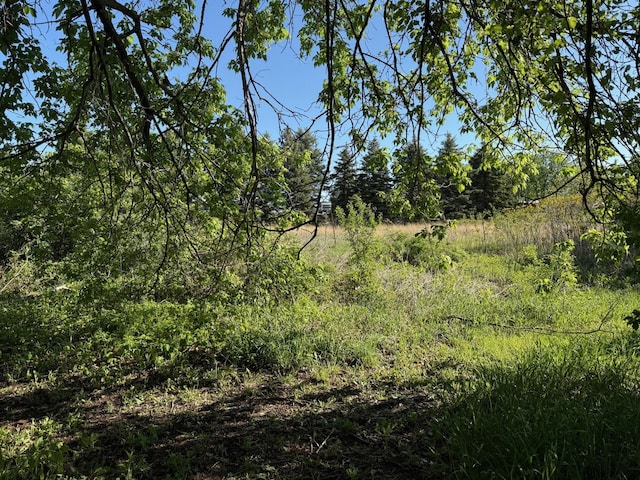 9808 Jenny Ln, Saint Wendel Twp, MN 56374 - view of wooded area