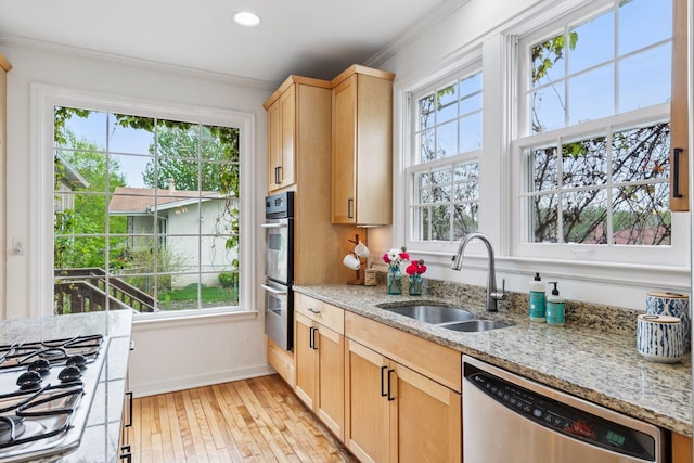 kitchen featuring stainless steel appliances, a sink, plenty of natural light, light brown cabinets, and ornamental molding