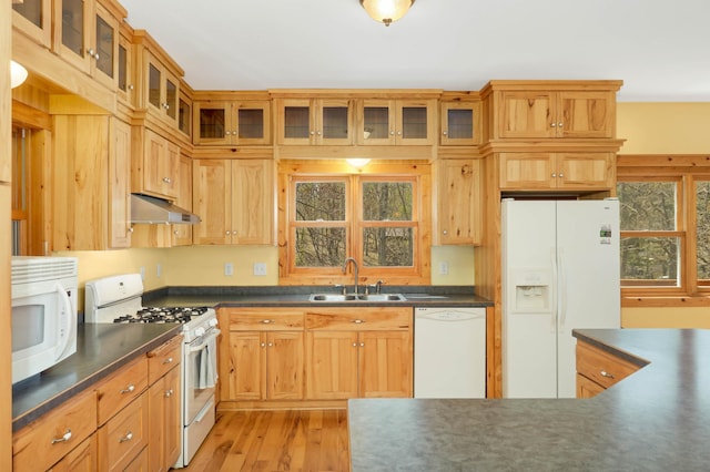 28719 456th Pl, Farm Island Twp, MN 56431 - photo 9