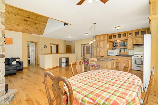 28719 456th Pl, Farm Island Twp, MN 56431 - photo 14