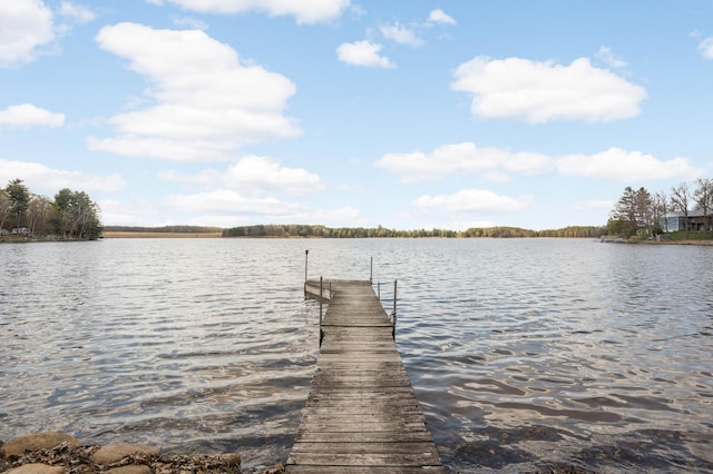 28719 456th Pl, Farm Island Twp, MN 56431 - photo 46