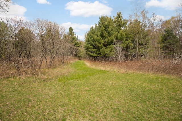 28719 456th Pl, Farm Island Twp, MN 56431 - photo 57