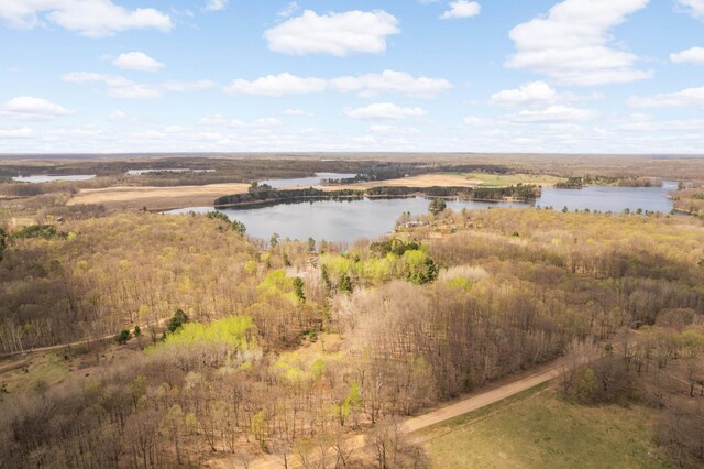 28719 456th Pl, Farm Island Twp, MN 56431 - photo 58