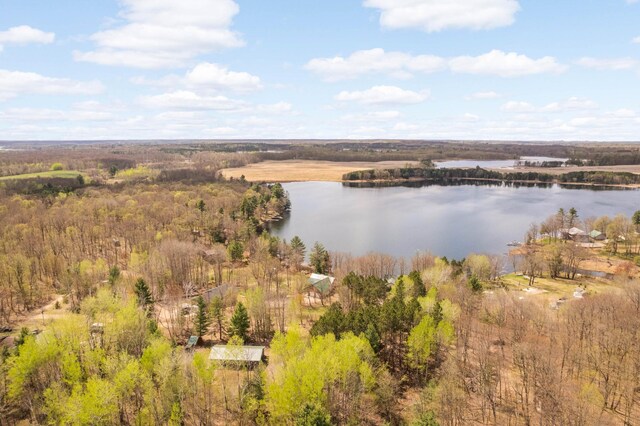 28719 456th Pl, Farm Island Twp, MN 56431 - photo 60