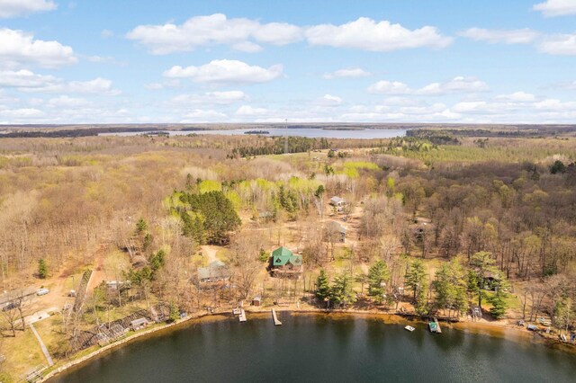 28719 456th Pl, Farm Island Twp, MN 56431 - photo 61