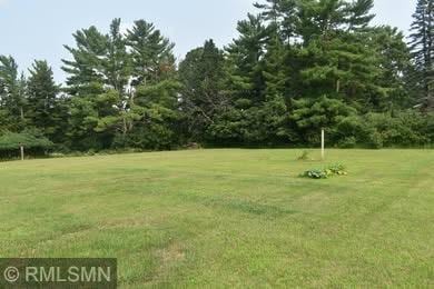 32255 County 21, Browerville, MN 56438 - view of green lawn