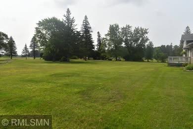32255 County 21, Browerville, MN 56438 - view of yard
