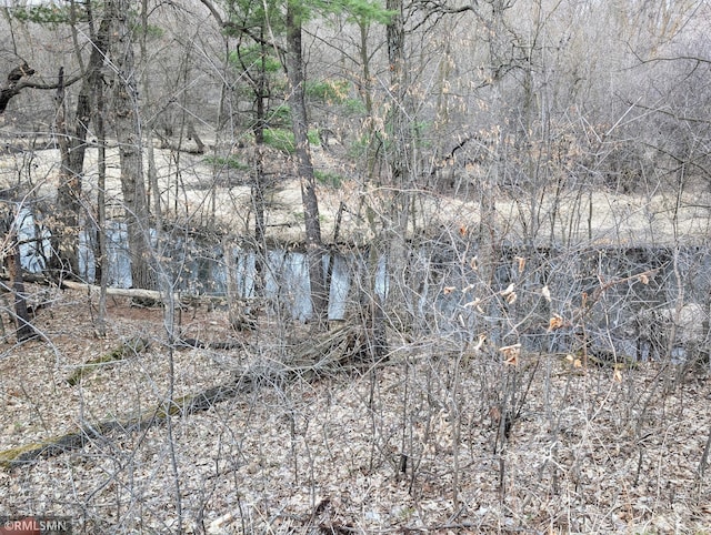 32255 County 21, Browerville, MN 56438 - view of undeveloped land