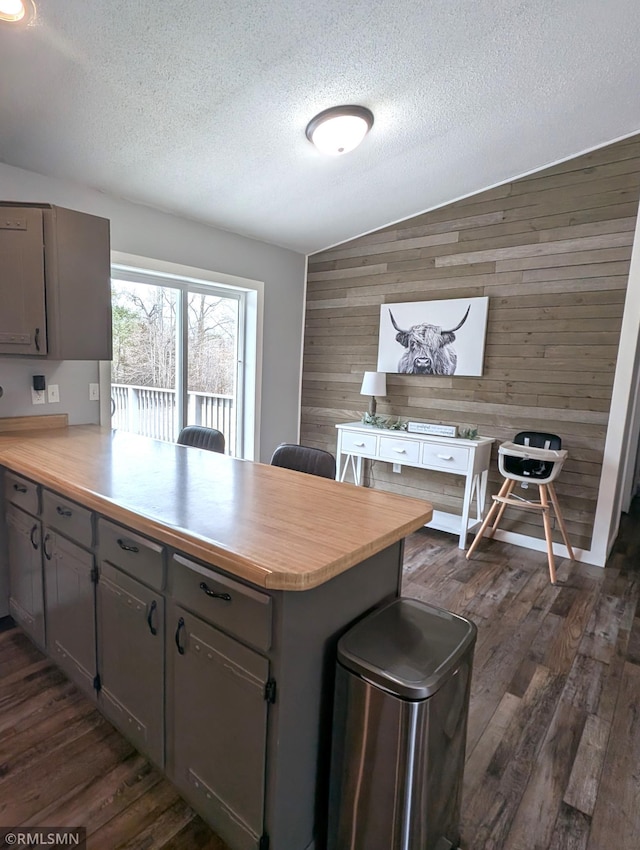 32255 County 21, Browerville, MN 56438 - kitchen featuring wooden walls, a peninsula, a textured ceiling, dark wood finished floors, and gray cabinets