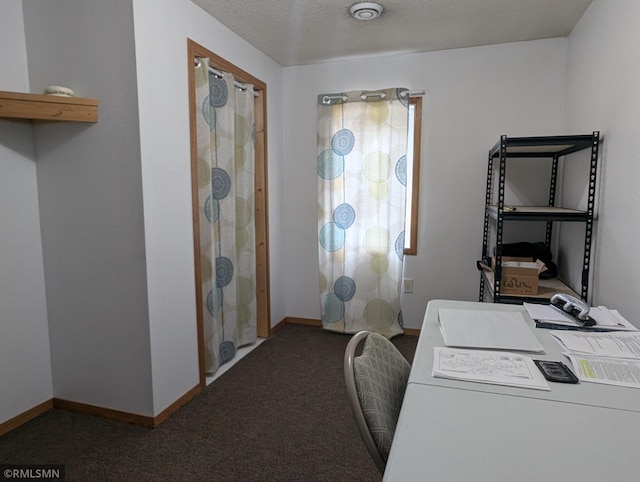 32255 County 21, Browerville, MN 56438 - washroom with carpet floors and baseboards