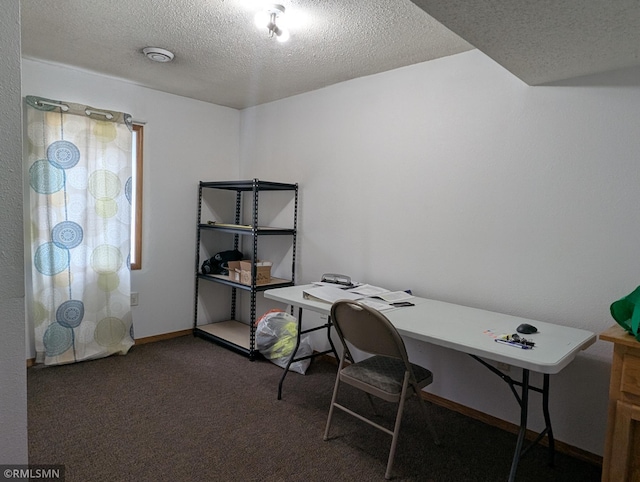 32255 County 21, Browerville, MN 56438 - carpeted office space with a textured ceiling