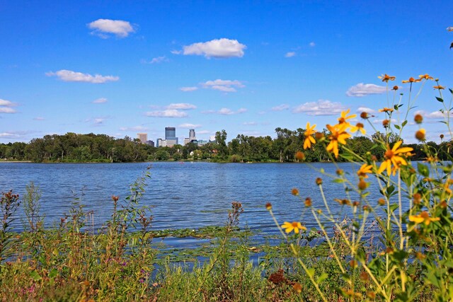 1647 26th St, Minneapolis, MN 55405 - water view