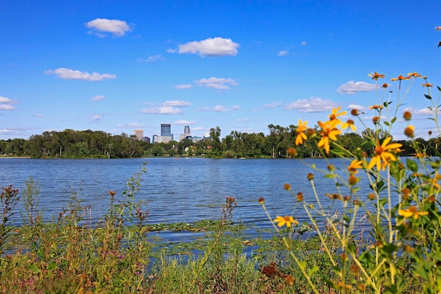 1647 26th St, Minneapolis, MN 55405 - water view