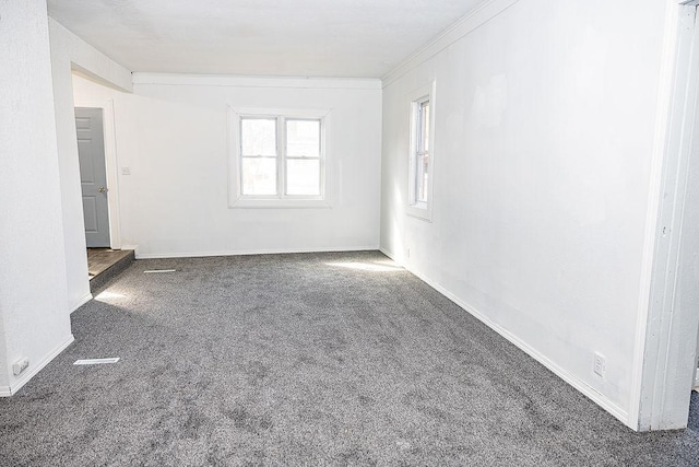 carpeted empty room featuring baseboards and ornamental molding