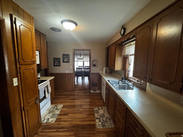 327 2nd St SW, Clara City, MN 56222 - kitchen with a sink, white range with electric stovetop, healthy amount of natural light, wainscoting, and dark wood-type flooring