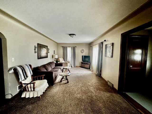 327 2nd St SW, Clara City, MN 56222 - living area with carpet flooring, arched walkways, a textured ceiling, and baseboards