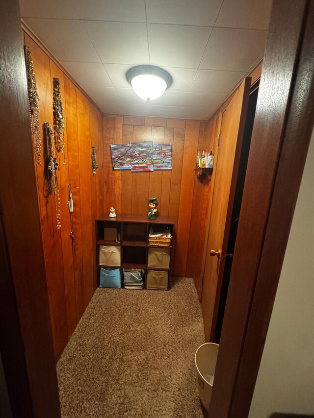 327 2nd St SW, Clara City, MN 56222 - office with carpet floors and wooden walls