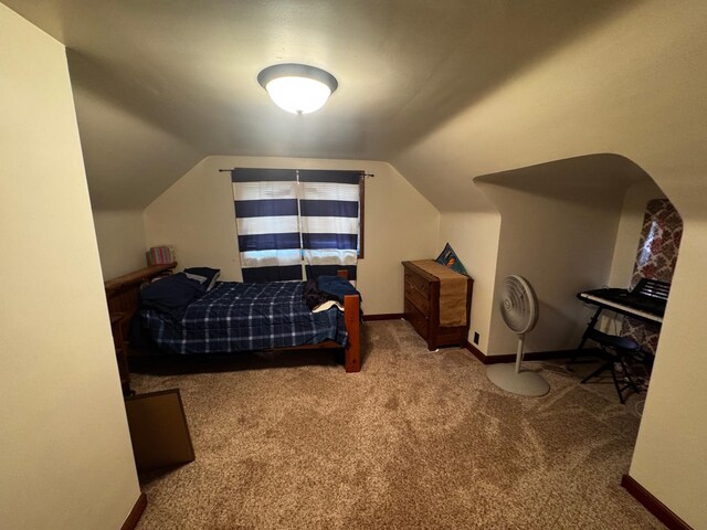 327 2nd St SW, Clara City, MN 56222 - bedroom featuring carpet flooring and vaulted ceiling