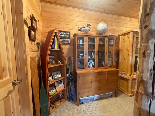 17999 Ivy Dr, Park Rapids, MN 56470 - wine area featuring wood walls and wood ceiling