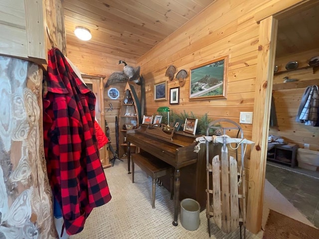 17999 Ivy Dr, Park Rapids, MN 56470 - home office featuring wood walls and wood ceiling