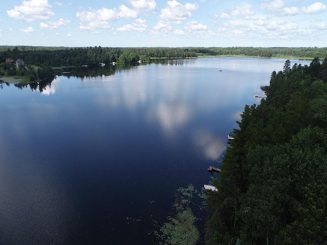 17999 Ivy Dr, Park Rapids, MN 56470 - water view featuring a forest