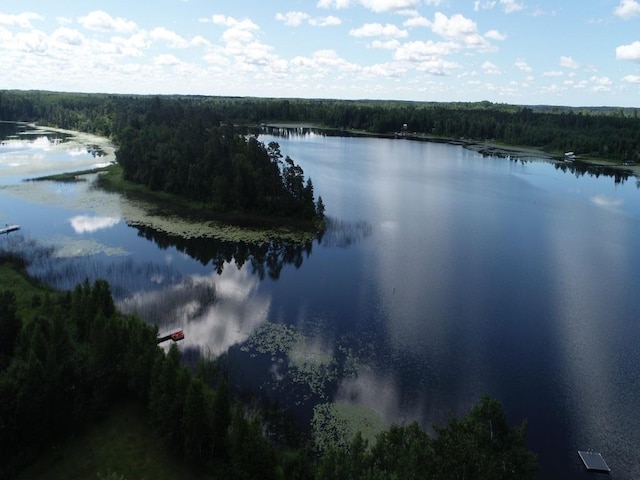 17999 Ivy Dr, Park Rapids, MN 56470 - water view featuring a heavily wooded area