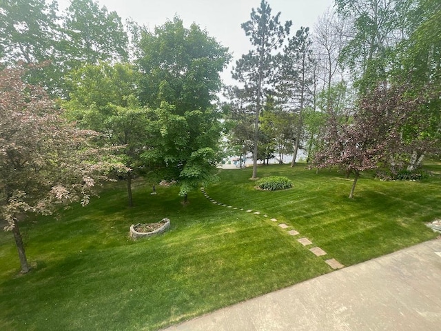 17999 Ivy Dr, Park Rapids, MN 56470 - view of green lawn