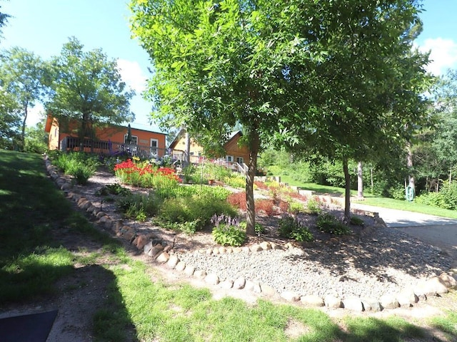 17999 Ivy Dr, Park Rapids, MN 56470 - view of yard