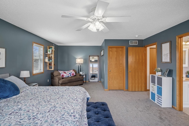 104 Birch Ave NW, Saint Michael, MN 55376 - bedroom with carpet flooring, a textured ceiling, and ceiling fan