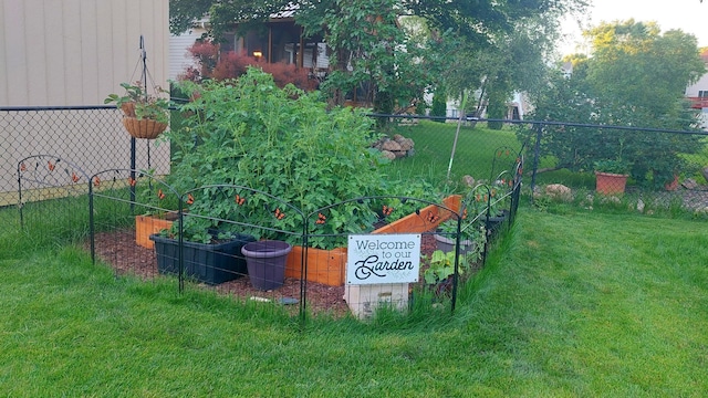 104 Birch Ave NW, Saint Michael, MN 55376 - view of yard with a vegetable garden