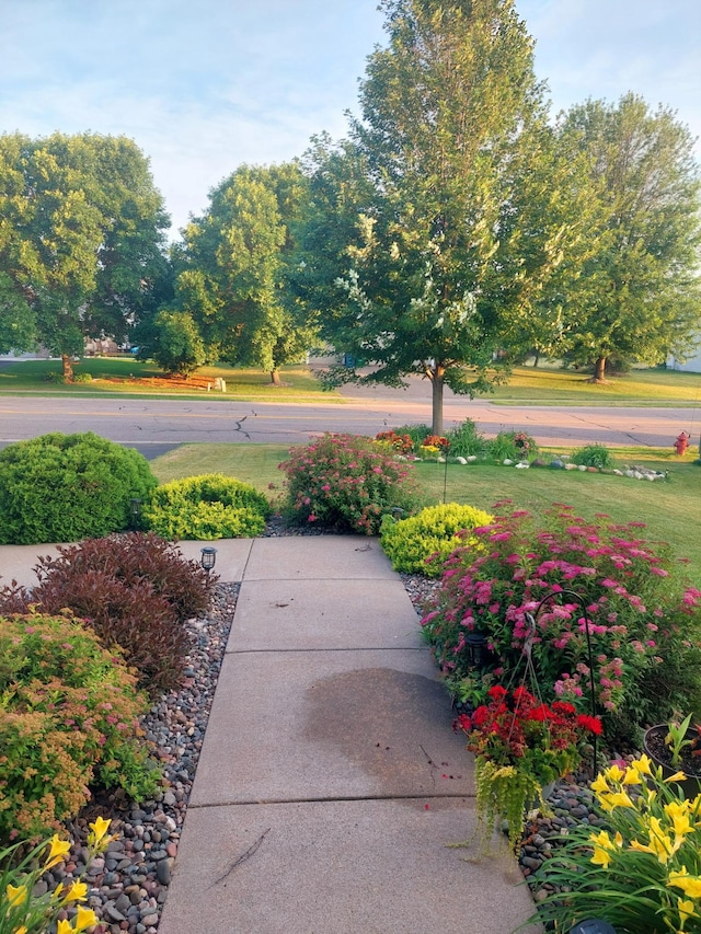 104 Birch Ave NW, Saint Michael, MN 55376 - view of yard