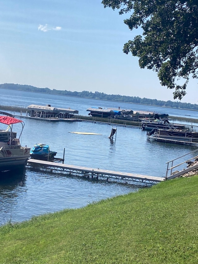 dock area with a water view