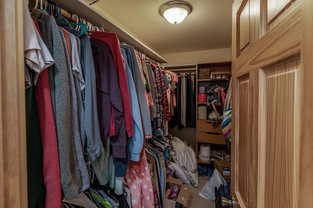 7621 Winter Trl, Breezy Point, MN 56472 - walk in closet featuring carpet flooring
