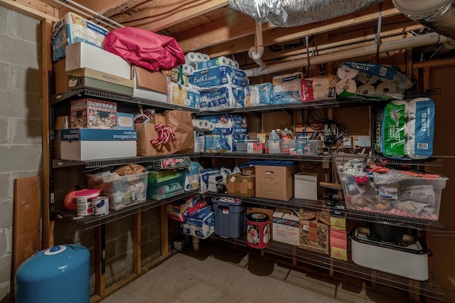 7621 Winter Trl, Breezy Point, MN 56472 - view of storage