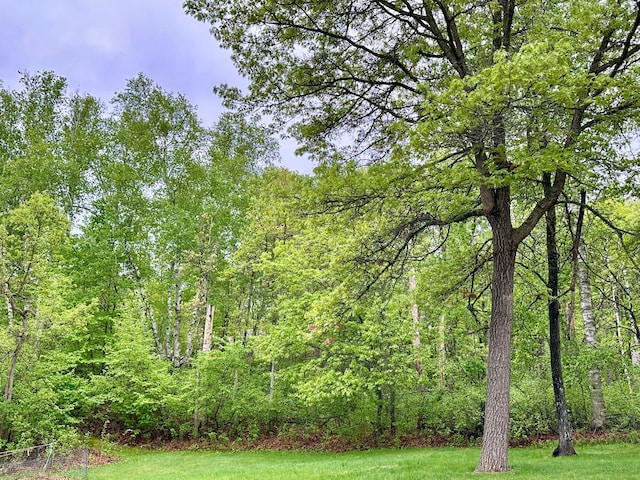 7621 Winter Trl, Breezy Point, MN 56472 - view of tree filled area