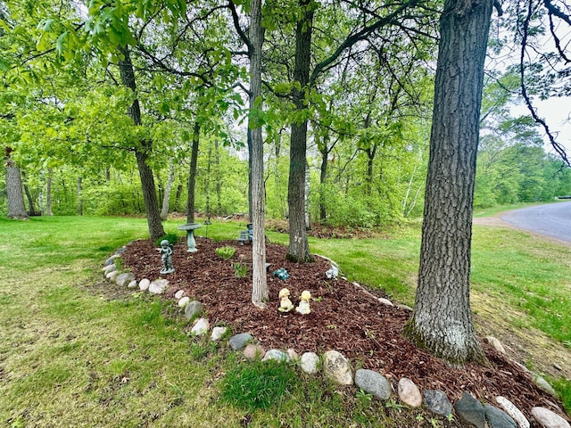 7621 Winter Trl, Breezy Point, MN 56472 - view of green lawn