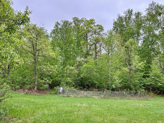 7621 Winter Trl, Breezy Point, MN 56472 - view of yard with a view of trees