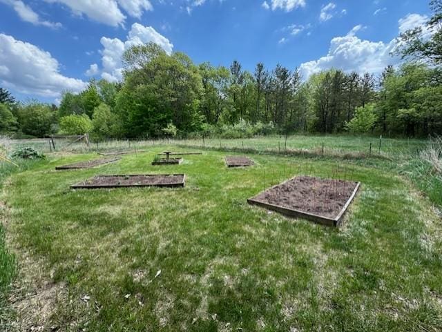 2908 River Rd, Saint Croix Falls, WI 54024 - view of yard featuring a garden