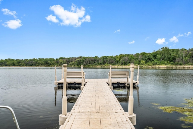 11560 Red Fox Dr, Maple Grove, MN 55369 - dock with a wooded view and a water view