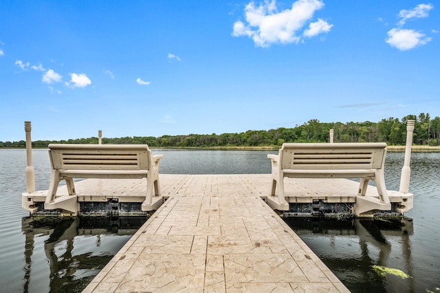 11560 Red Fox Dr, Maple Grove, MN 55369 - dock with a water view